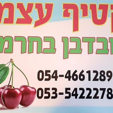 צימרים בגולן דובדבן בחרמון Mas'ada Екстериор снимка