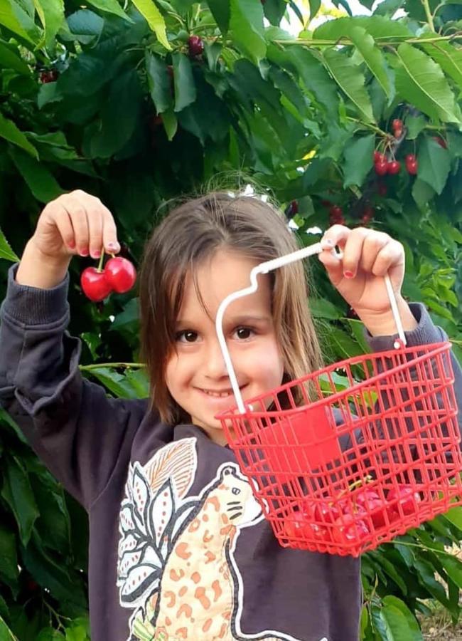 צימרים בגולן דובדבן בחרמון Mas'ada Екстериор снимка
